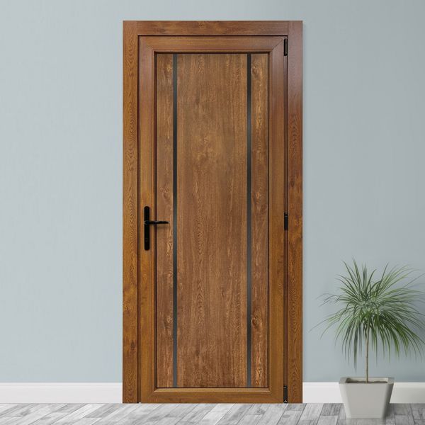 Двери межкомнатные пластиковые BLACKINOX 21 золотой дуб М485 фото
